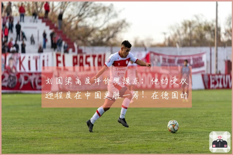 刘国梁高度评价樊振东：他的受欢迎程度在中国更胜一筹！在德国的受喜爱源于赢得的尊敬