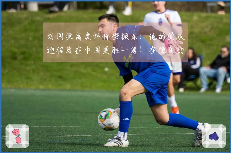 刘国梁高度评价樊振东：他的受欢迎程度在中国更胜一筹！在德国的受喜爱源于赢得的尊敬