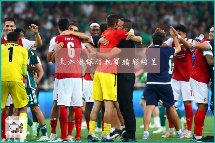 美加冰球对抗赛精彩纷呈